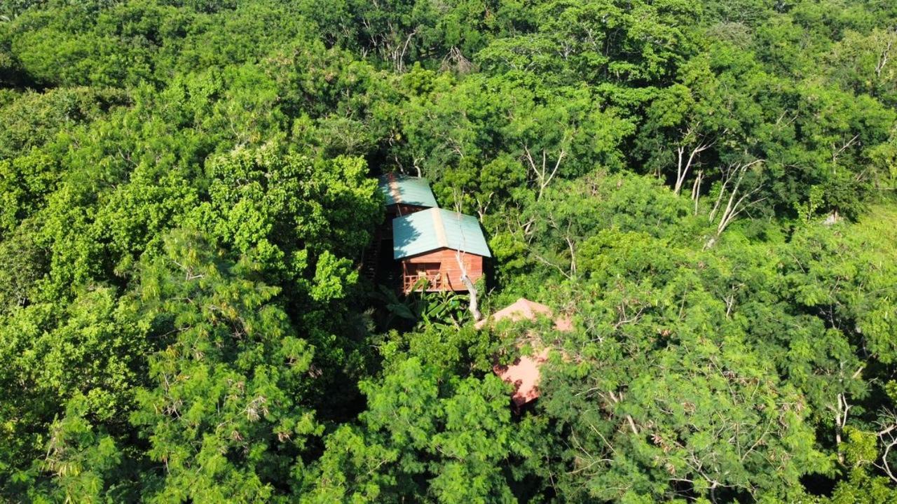 Tree House Hostel Сигирия Екстериор снимка