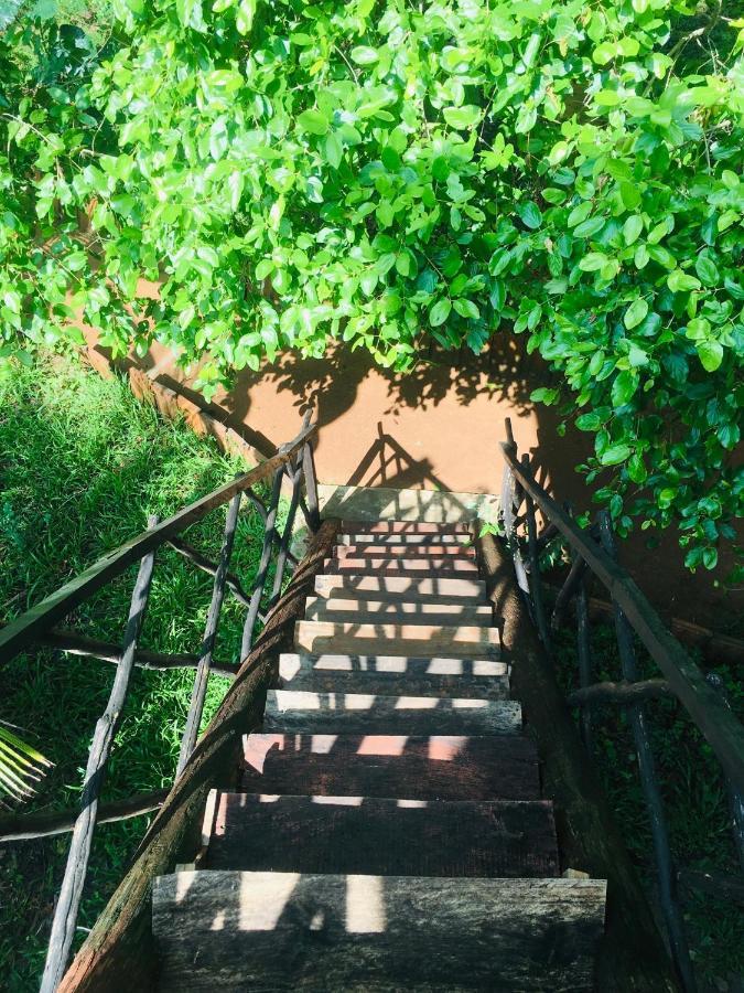 Tree House Hostel Сигирия Екстериор снимка