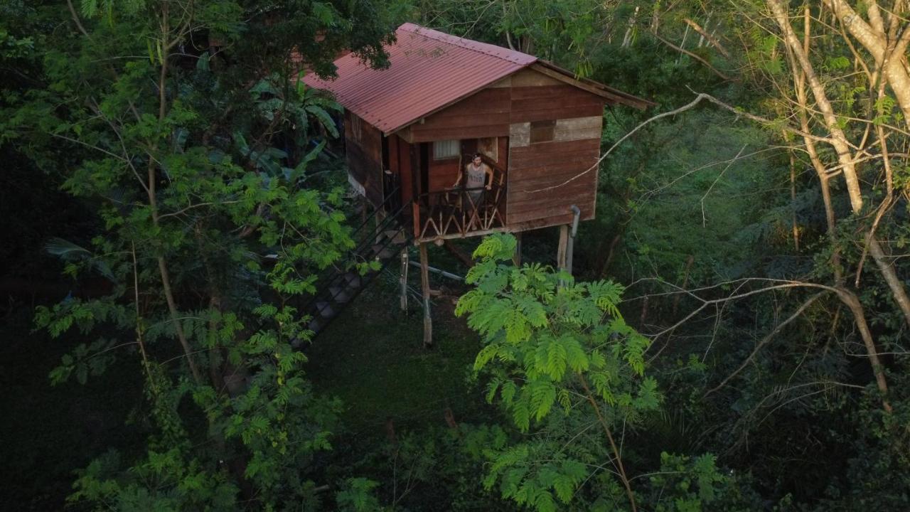 Tree House Hostel Сигирия Екстериор снимка