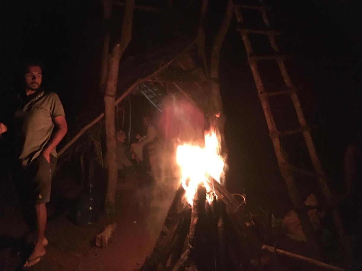 Tree House Hostel Сигирия Екстериор снимка