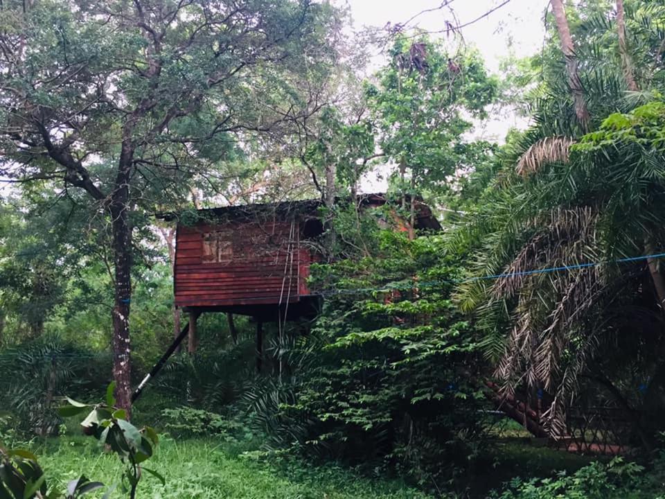Tree House Hostel Сигирия Екстериор снимка