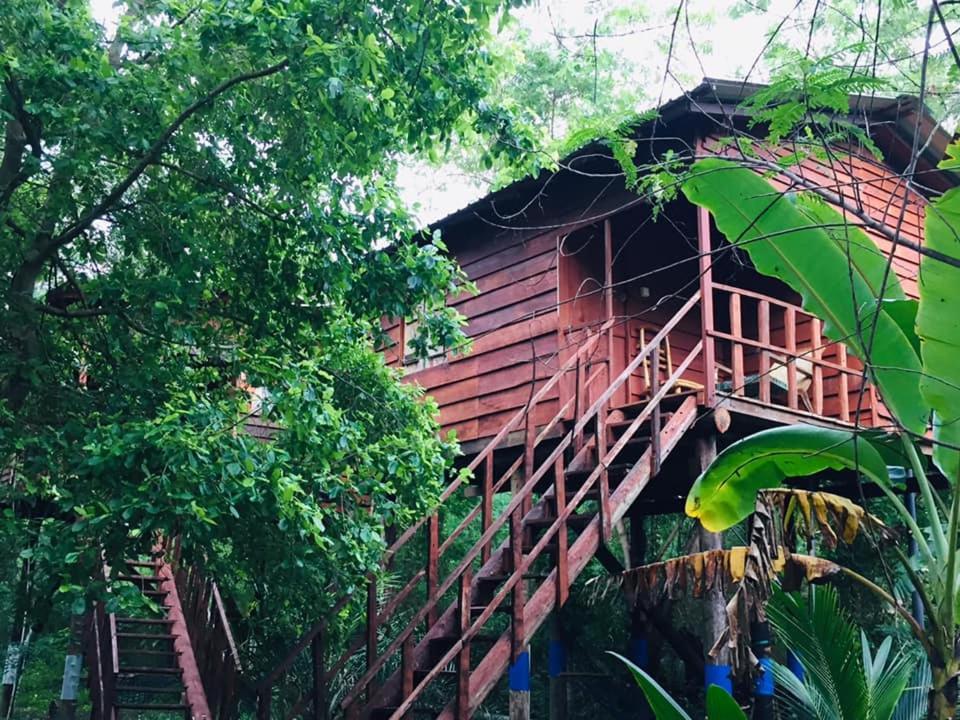 Tree House Hostel Сигирия Екстериор снимка