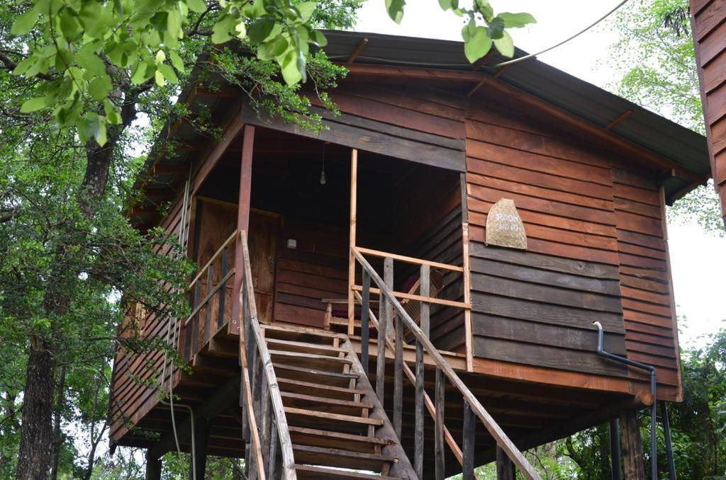 Tree House Hostel Сигирия Екстериор снимка